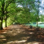 Countryside for Londoners – Hampstead Heath