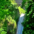 Lower Waterfall Multnomah Falls Bridge Portland Road Trip