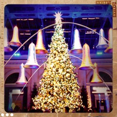 Las Vegas Bellagio Hotel Christmas Tree