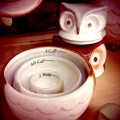 Cute Ceramic Owl Measuring cup Set