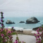 San Fran Sutro Baths Road Trip West Coast Shore Flowers  Artistic