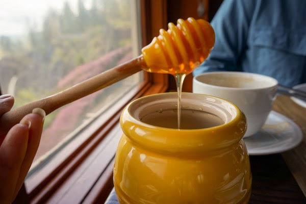 salish honey
