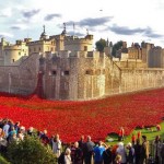 Sea of Poppies for Armistice Day in London
