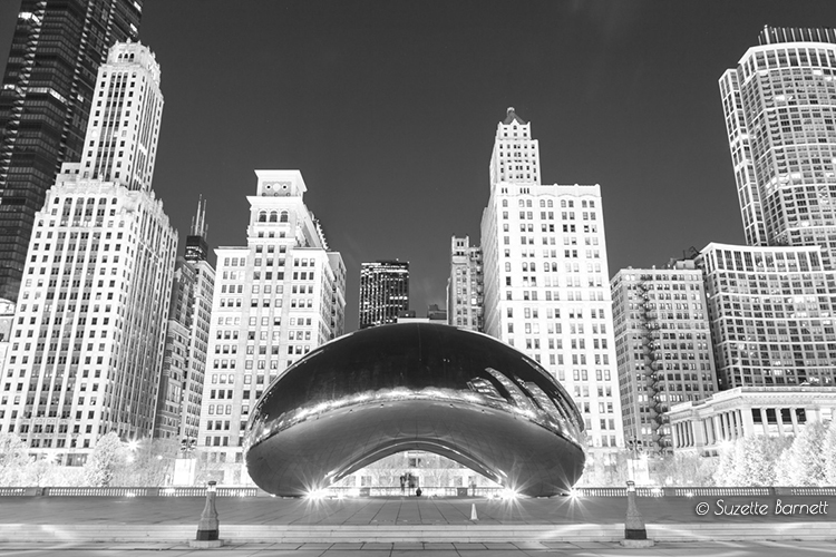 chicago bean at night