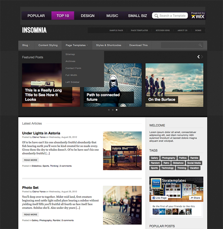 Insomnia blogger template