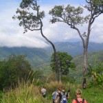 group of trekkers in Chiang Mai