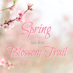 Spring on California’s Blossom Trail
