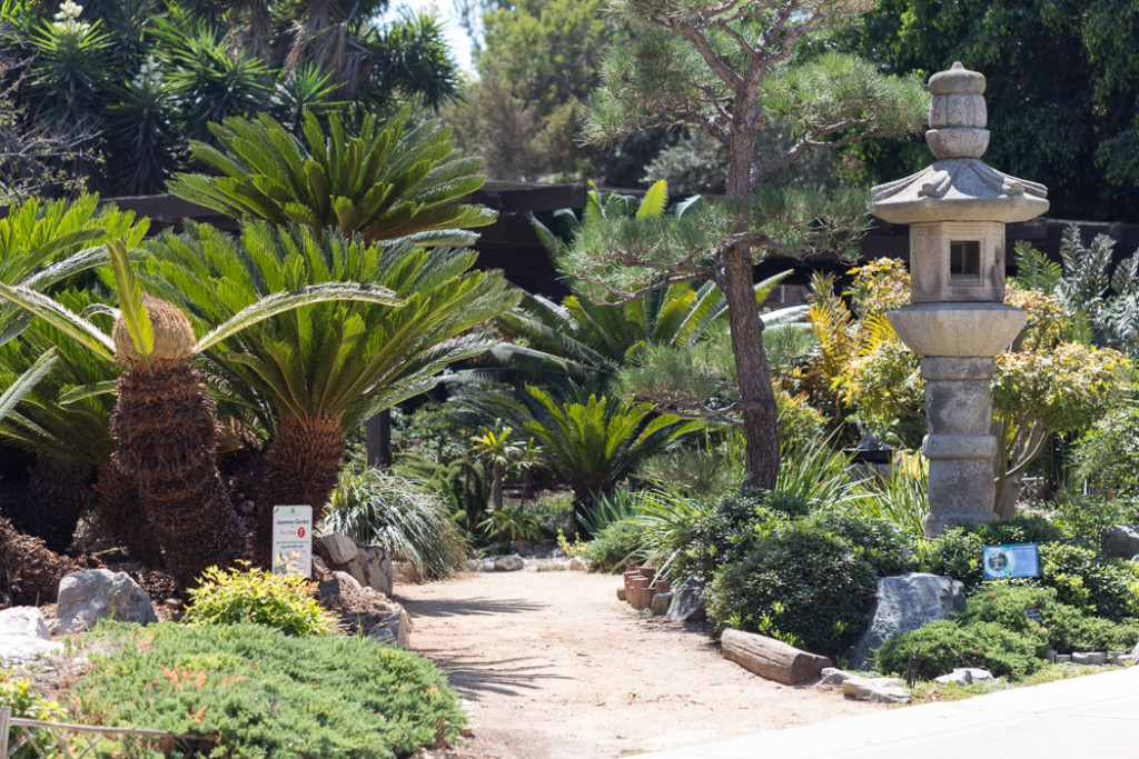 South Coast Botanic Garden, Palos Verdes Try Something Fun