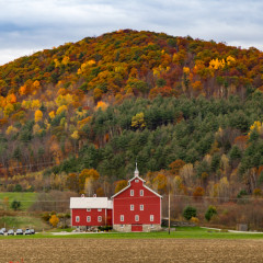 Vermont_autumn-red