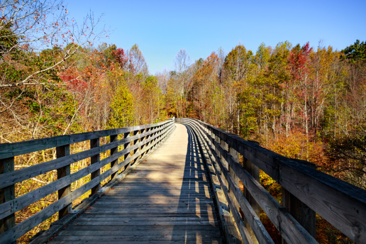 Virginia Creeper Trail A Popular Autumn Destination Try Something Fun