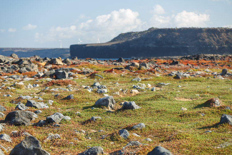 rocky landscape mosquera island
