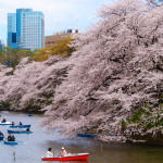 Travel Tips for Visiting Tokyo